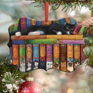 Cat And Bookshelf Ornament Png