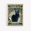 Once Upon A Time I Picked Up A Black Cat Poster Print