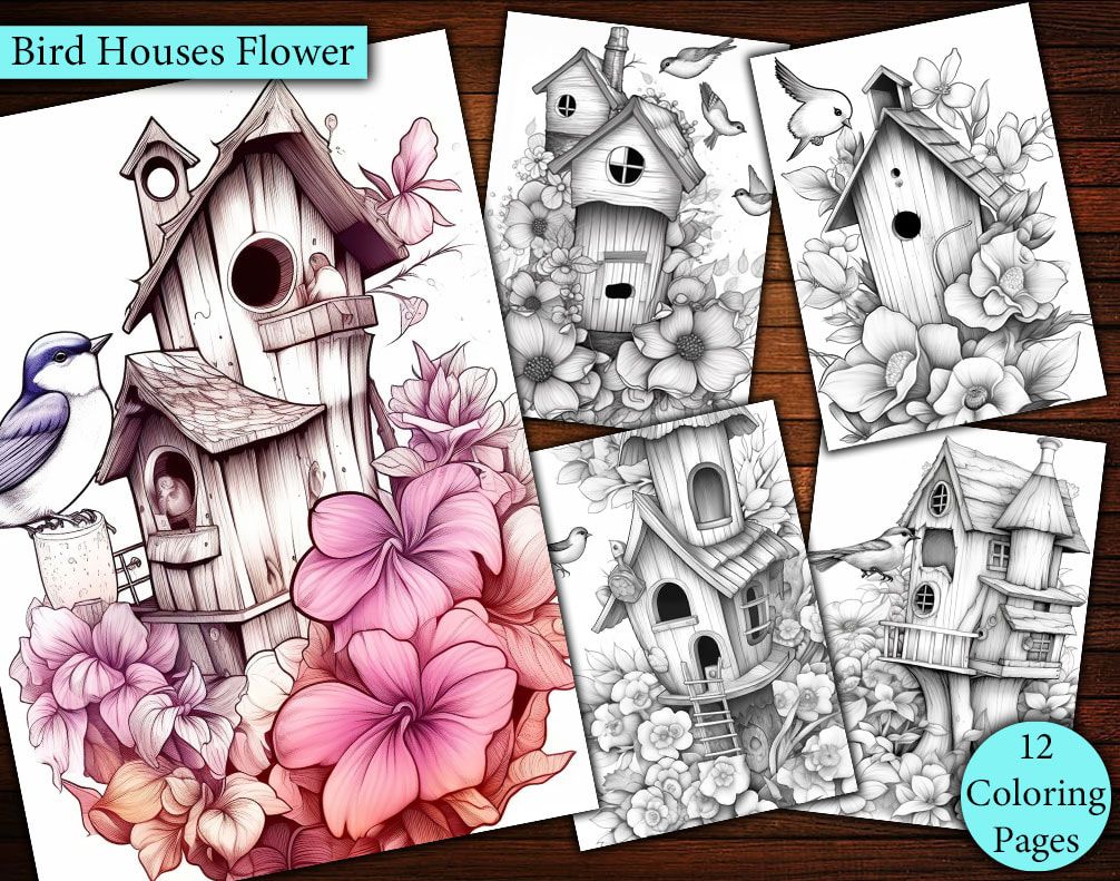 12 Cute Bird Hourse Coloring Page 12 Cute Bird Hourse Coloring Page