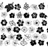 Hibiscus Outline SVG