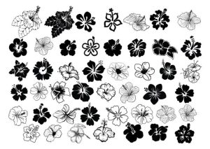 Hibiscus Outline SVG