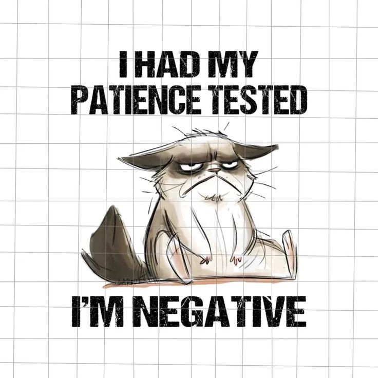 I Had My Patience Tested I’m Negative Png, Funny Cat Quote Png I Had My Patience Tested I’m Negative Png, Funny Cat Quote Png