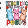 Teaching My Favorite Peeps Png