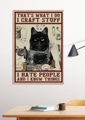That’s What I Craft Stuff I Hate People And I Know Things Poster Print
