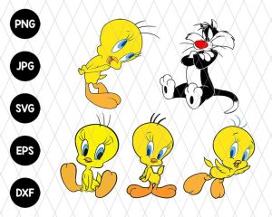 5 Pack Bundle Bird Svg File