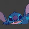 Embroidery design Stitch hoody