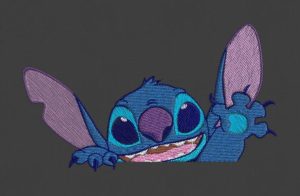 Embroidery design Stitch hoody